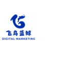 深圳市飞鸟蓝鲸数字营销有限公司
